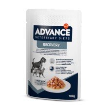 Advance Veterinary Diets Recovery Sobre 100 gr para Perros y Gatos