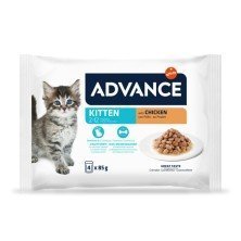 Advance Cat Wet Kitten Pollo Pack 4x85 gr