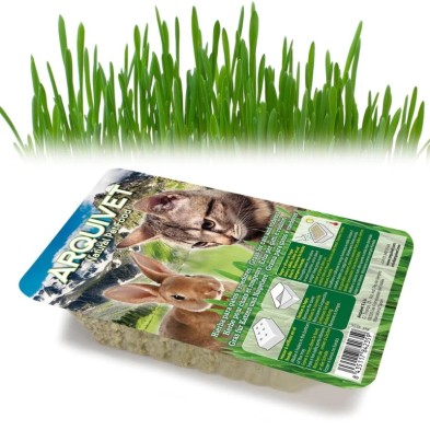 Hierba Gatera Bandeja 100 gr Arquivet