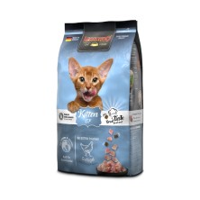 Leonardo GF Kitten para Gatitos