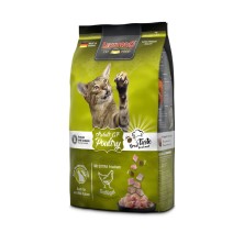 Leonardo GF Aves para Gatos